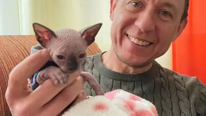 Рамиль Муллин показал своего нового питомца - канадского сфинкса - НТР 24