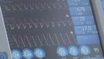 Любовь Авдонина озвучила предполагаемый срок окончания эпидемии COVID-19 в Татарстане - НТР 24