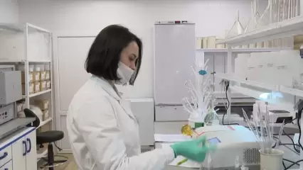 Контроль воздуха, воды и почвы: в Нижнекамске открылась обновлённая лаборатория Росприроднадзора - НТР 24