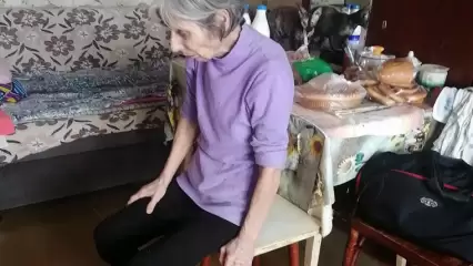 Жительница Нижнекамска рассказала про добрую старушку, которая на пенсию спасает кошек от голода - НТР 24