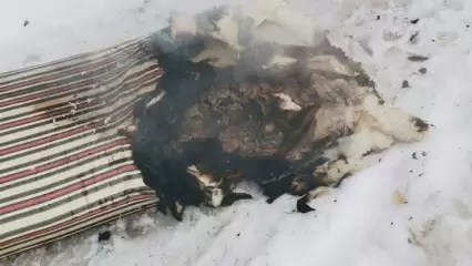 В Казани из квартиры с горящим матрасом спасли двух человек - НТР 24