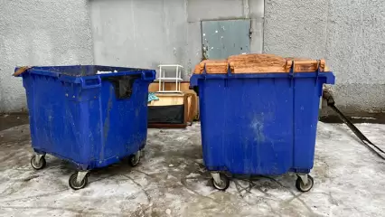 Россиянам запретили выкидывать бытовую технику в мусорные контейнеры