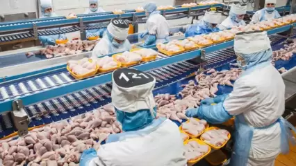 На предприятии в Челнах пронумеровали работников для отслеживания их работы - НТР 24