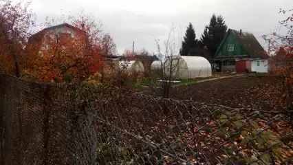 У нижнекамцев осталось чуть больше недели до окончания бесплатной приватизации дачных участков - НТР 24