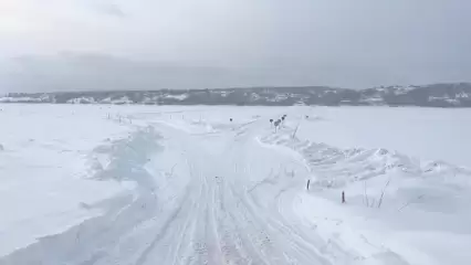 В Татарстане до следующей зимы закрылась ледовая переправа через Каму в с. Соколка - НТР 24