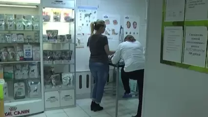 Директор нижнекамской ветклиники «Светлячок» ответила на обвинения в обмане с кремацией - НТР 24