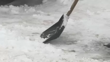 В Нижнекамске планируют привлечь мигрантов для работы дворниками - НТР 24