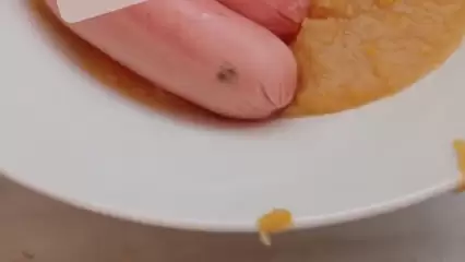 В Нижнекамске школьникам на обед дали сосиски с пятнами - НТР 24