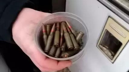 У жителя Нижнекамского района в гараже был обнаружен арсенал оружия и боеприпасов - НТР 24