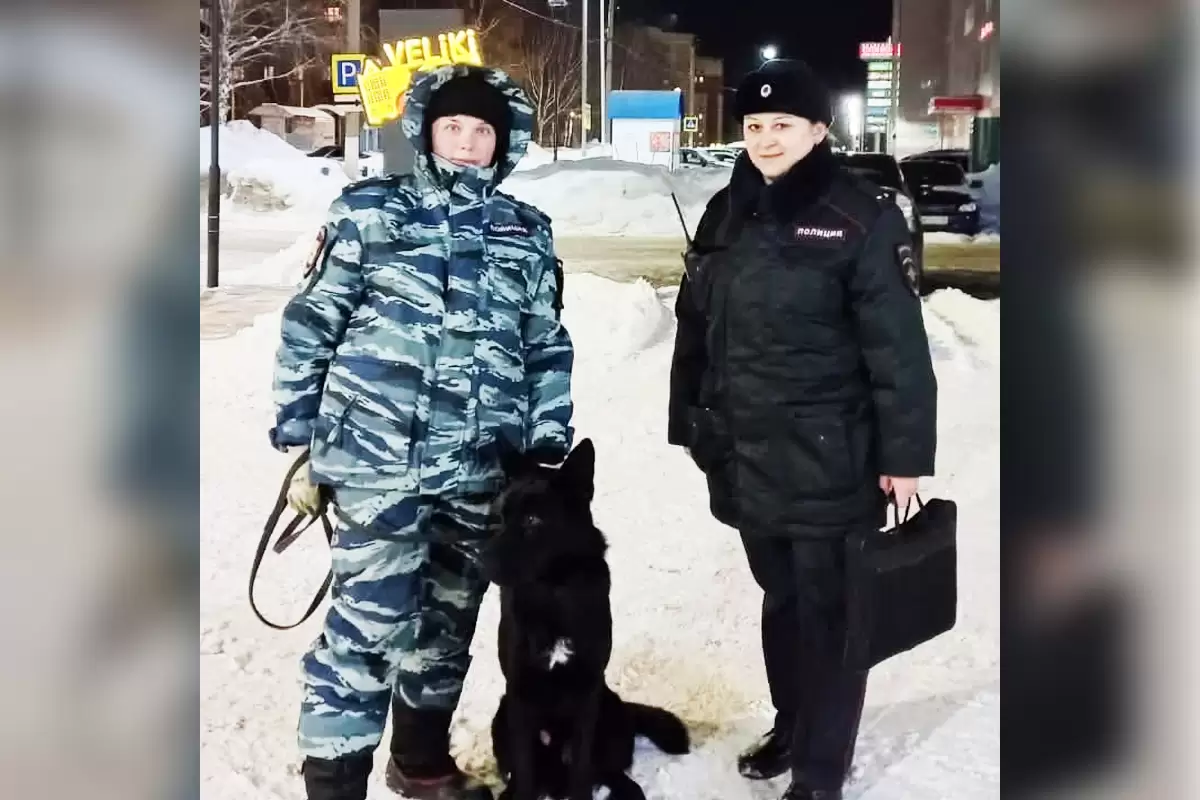 Почти 50 преступлений в Нижнекамске помогли раскрыть служебные собаки в 2021 году