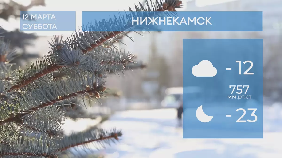Прогноз погоды в Нижнекамске на 12-е марта 2022 года