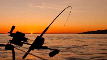 Житель Нижнекамска хотел купить эхолот для рыбалки, но попался на удочку мошенников - НТР 24