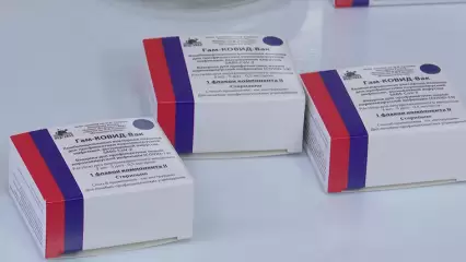 В Татарстане более 30% населения прошли повторную вакцинацию от COVID-19 - НТР 24