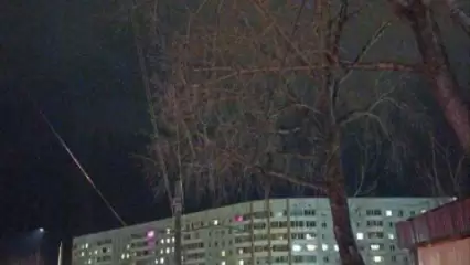 Нижнекамцы опасаются за провода, которые может оборвать старое дерево - НТР 24