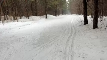 Рамиль Муллин поделился фото с лыжной прогулки - НТР 24