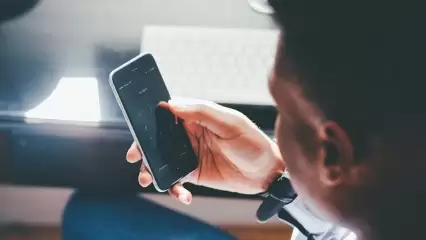 Для татарстанцев откроется горячая линия по вопросам садоводства - НТР 24