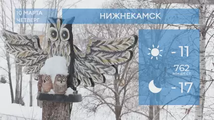 Погода в Нижнекамске на 10-е марта 2022 года