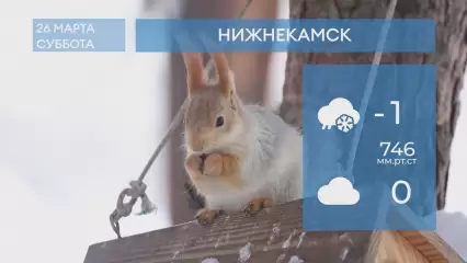 Прогноз погоды в Нижнекамске на 26-е марта 2022 года