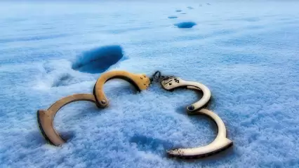 В Казани собака нашла в снегу человеческую ногу