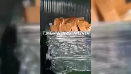 Казанцы сняли на видео доверху заполненный хлебом мусорный бак