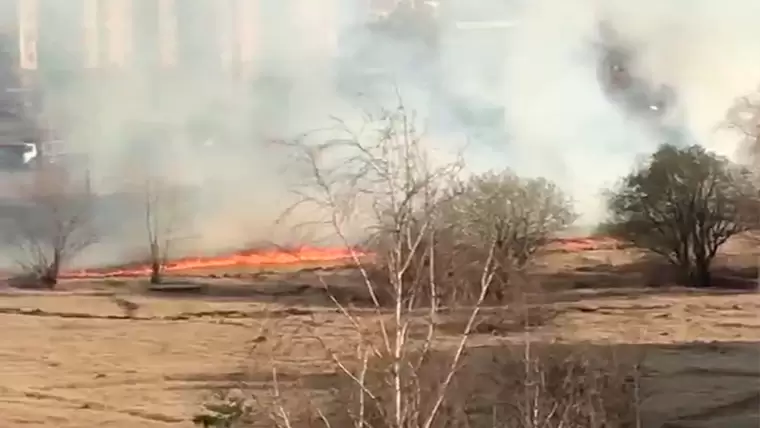 В Нижнекамске загорелся пустырь, пожар записали на видео