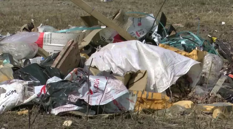 В Нижнекамске за год было собрано более 1 млн рублей штрафов за мусор
