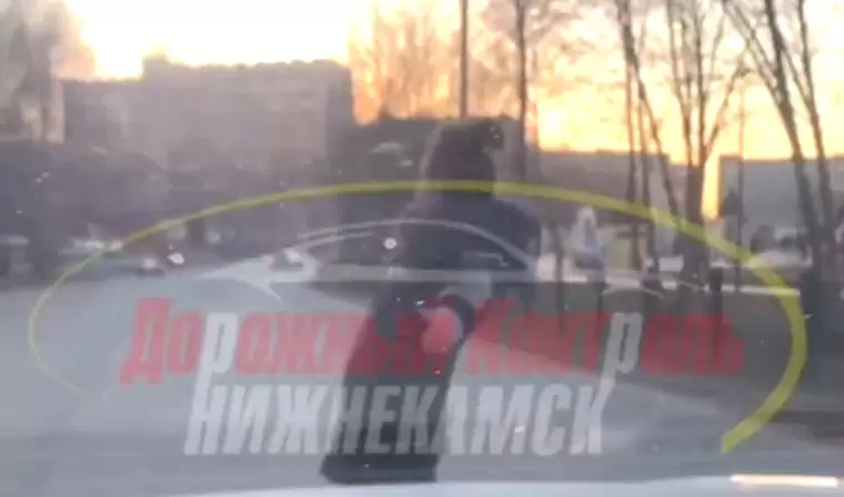 В Нижнекамске сняли на видео женщину, которая кидалась под машины