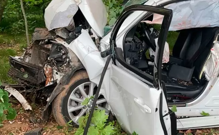 В Нижнекамске судят водителя, который, избегая столкновения с животным, врезался в дерево — погиб пассажир