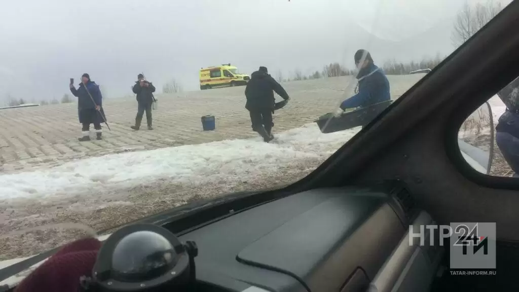В Татарстане спасатели вытащили со льда 35 рыбаков и щенка