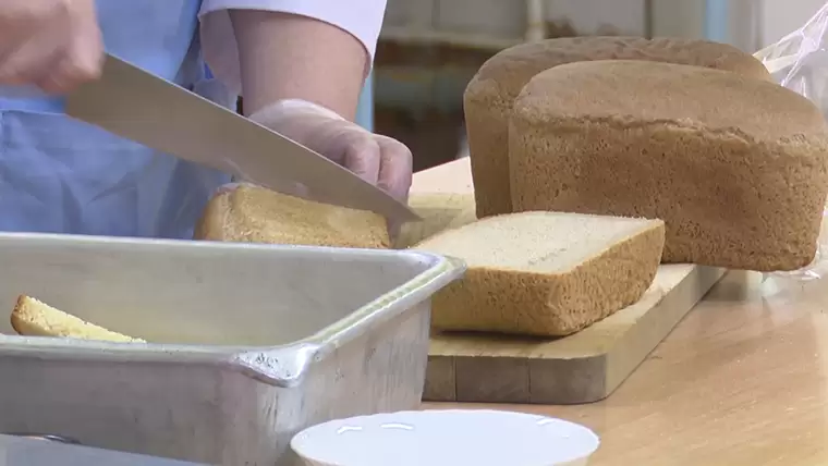 Челнинцы сняли на видео, как работники школьной столовой выносят пакетами еду