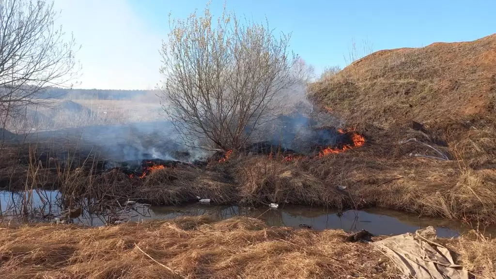 В Нижнекамском районе продолжаются пожары из-за сухостоя