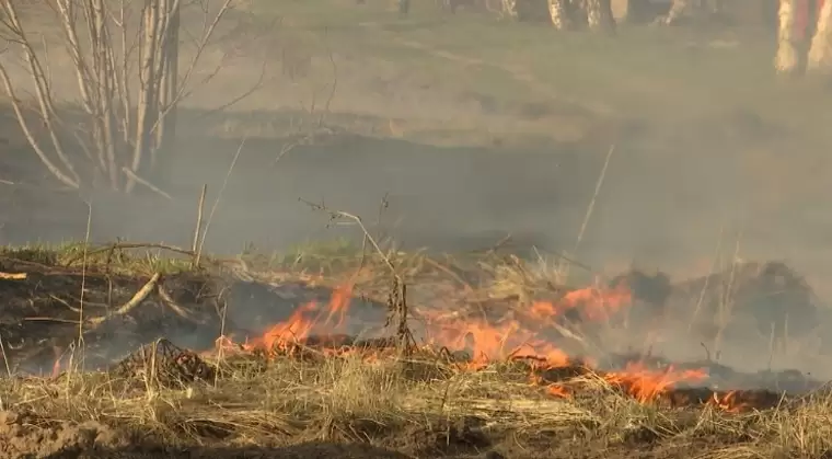 В Нижнекамском районе за день произошло два случая поджога сухой травы