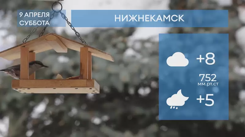 Прогноз погоды в Нижнекамске на 9-е апреля 2022 года