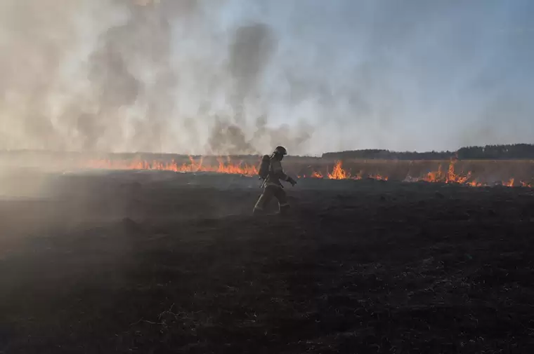 Нижнекамский район бьет антирекорд по количеству пожаров из-за горения сухой травы