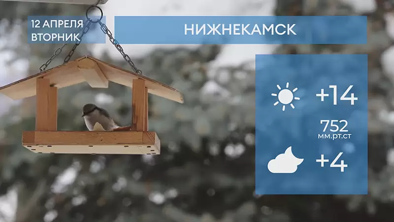 Прогноз погоды в Нижнекамске на 12-е апреля 2022 года