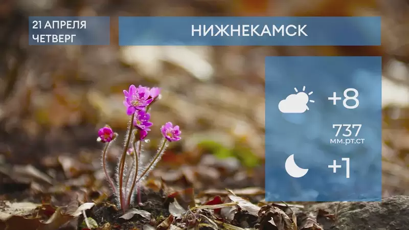 Прогноз погоды в Нижнекамске на 21-е апреля 2022 года