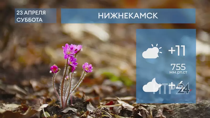 Прогноз погоды в Нижнекамске на 23-е апреля 2022 года
