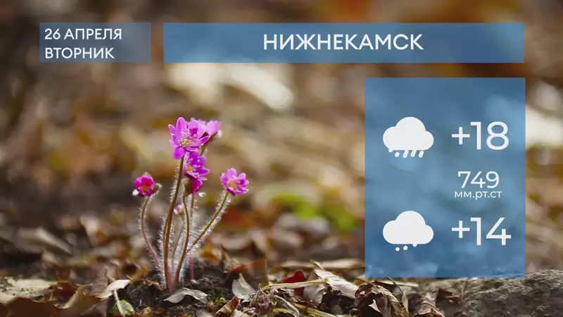Прогноз погоды в Нижнекамске на 26-е апреля 2022 года
