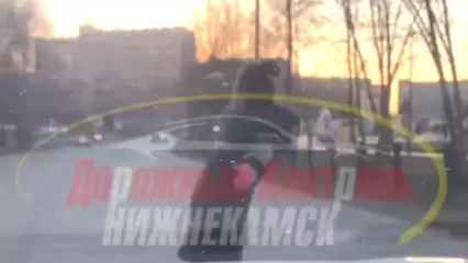 В Нижнекамске сняли на видео женщину, которая кидалась под машины