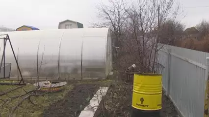 Дачников предупредили о запрещённых к выращиванию растениях, за которые грозит срок - НТР 24