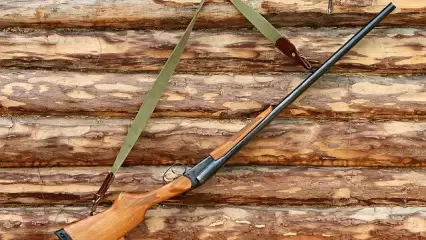 В Татарстане перевозившим туши кабанов браконьерам грозит «уголовка» - НТР 24