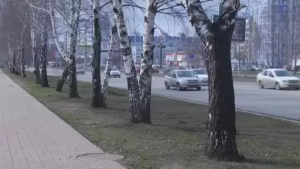 В пятницу в Татарстане ожидается туман и похолодание до -3 - НТР 24