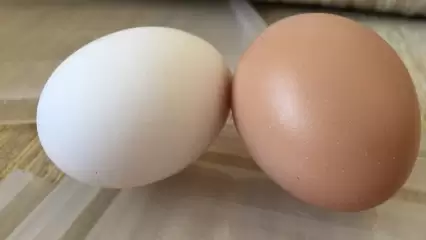 Диетолог назвала способы проверить яйца на свежесть