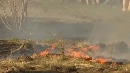 В Нижнекамском районе за день произошло два случая поджога сухой травы