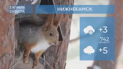 Прогноз погоды в Нижнекамске на 2-е апреля 2022 года