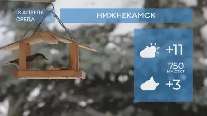Прогноз погоды в Нижнекамске на 13-е апреля 2022 года