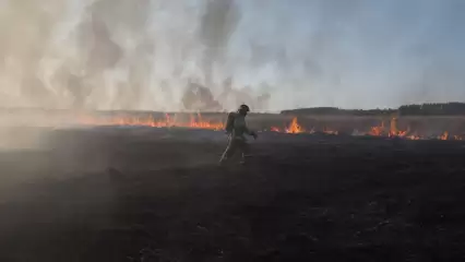 Нижнекамский район бьет антирекорд по количеству пожаров из-за горения сухой травы