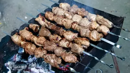 МЧС: татарстанцам придётся отказаться от шашлыков на природе на майские праздники - НТР 24