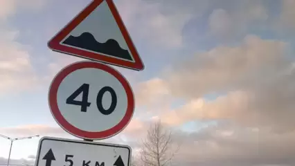 СМИ: в Татарстане неизвестные украли два десятка дорожных знаков - НТР 24