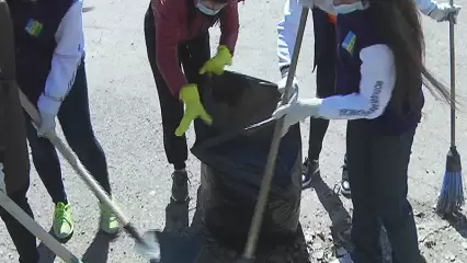 Муллин предложил возродить в школах Нижнекамска трудотерапию - НТР 24